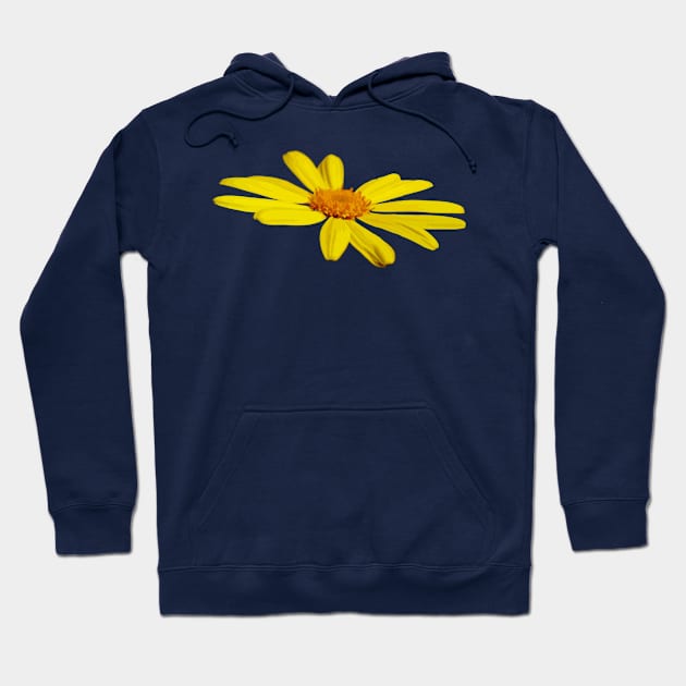 Floating Butterfly Marguerite Daisy Hoodie by taiche